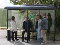 Freestanding Domed Roof 2 Sided Smoking Shelters 3-12 people