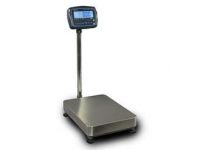 Salter Platform Scales - 60 to 300kg Capacity